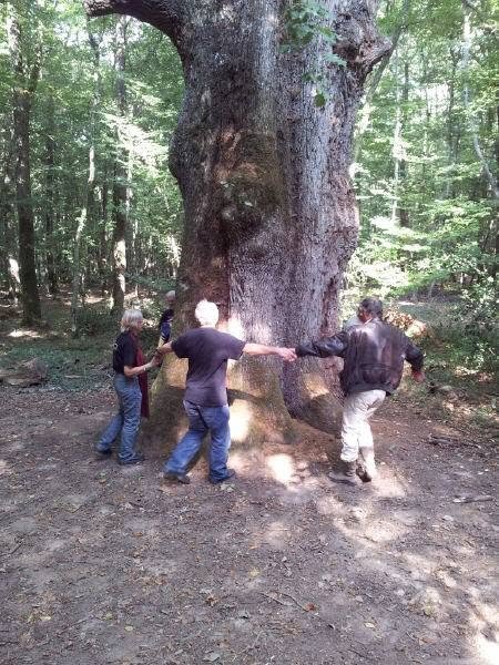 513252171_10228126639327350_8776074967392756555_n.jpg