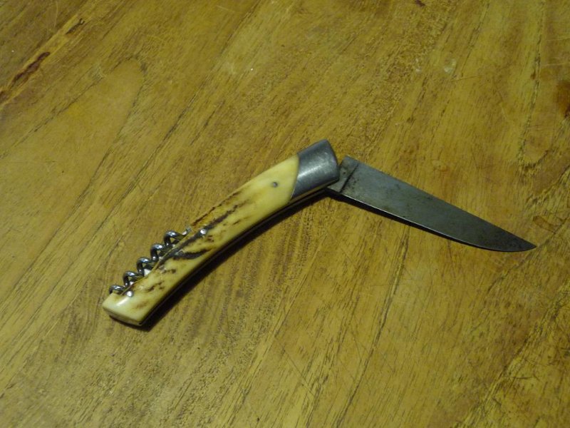 le Thiers semi ouvert.JPG