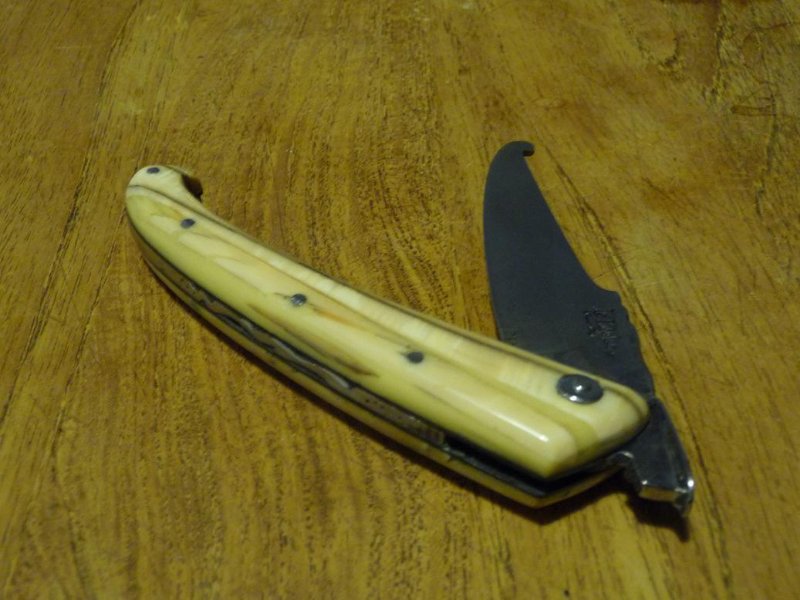 Najac semi fermé.JPG