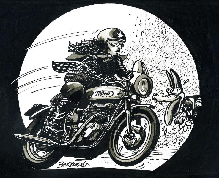 dessin Triton 2013.jpg