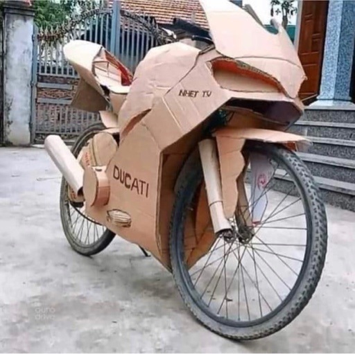 veloducat.jpg