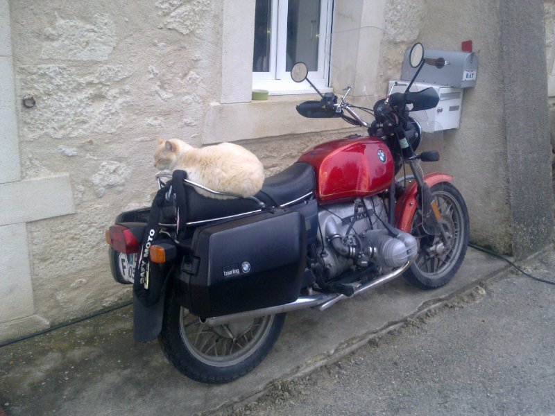 vente BMW R 80 007.jpg