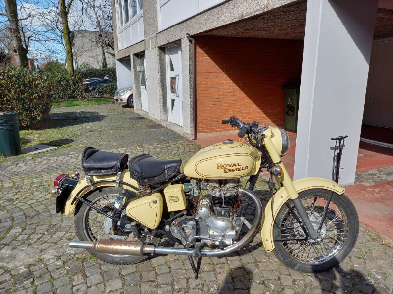 20210327 ROY ENF.jpg