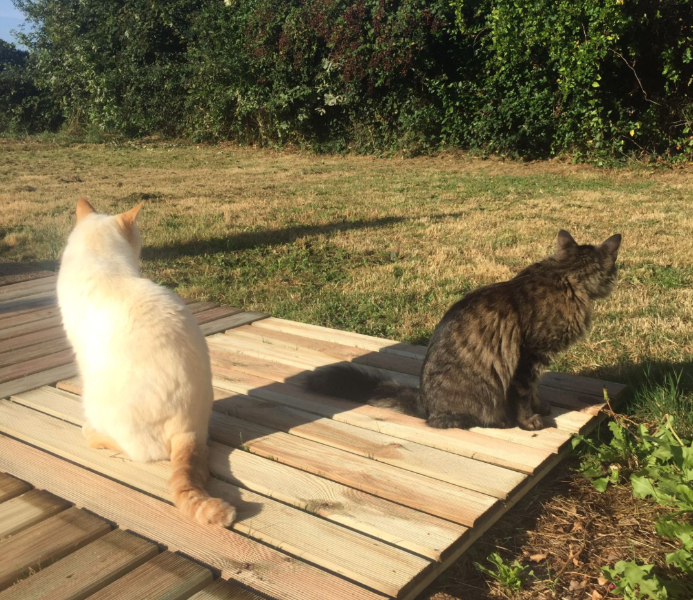 Capture d’écran, le 2021-09-12 à 09.55.31.png