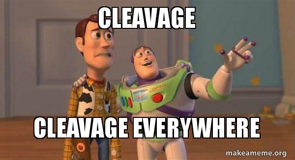 cleavage-cleavage-everywhere-fschow.jpg
