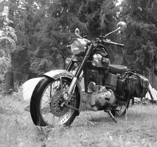 2023.05.20-31  (116) - Copie.JPG