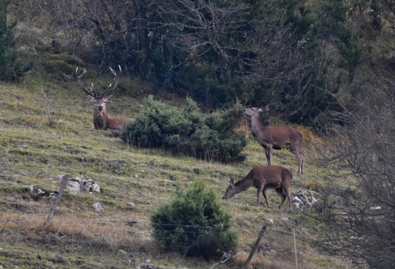 Bouvante 10122023 (76).JPG