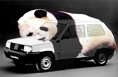 400px-FiatPanda1.jpg