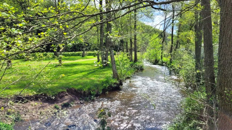 emplacements-de-camping-en-pleine-nature-et-au-bord-de-la-riviere-dans-les-ardennes.jpg