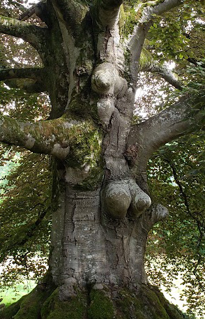 20240626_110622 bis.jpg