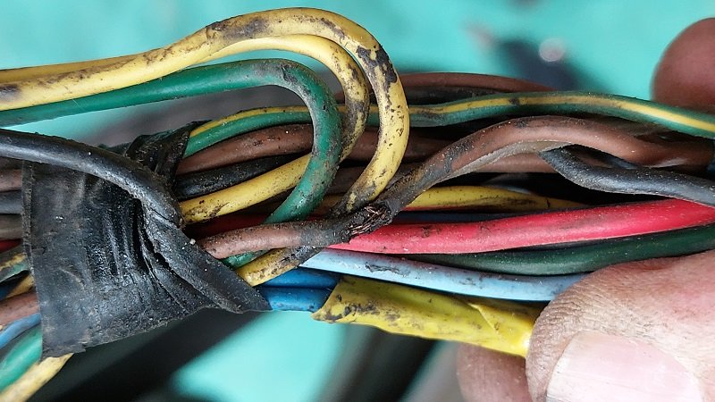 20241008_161317 800.jpg