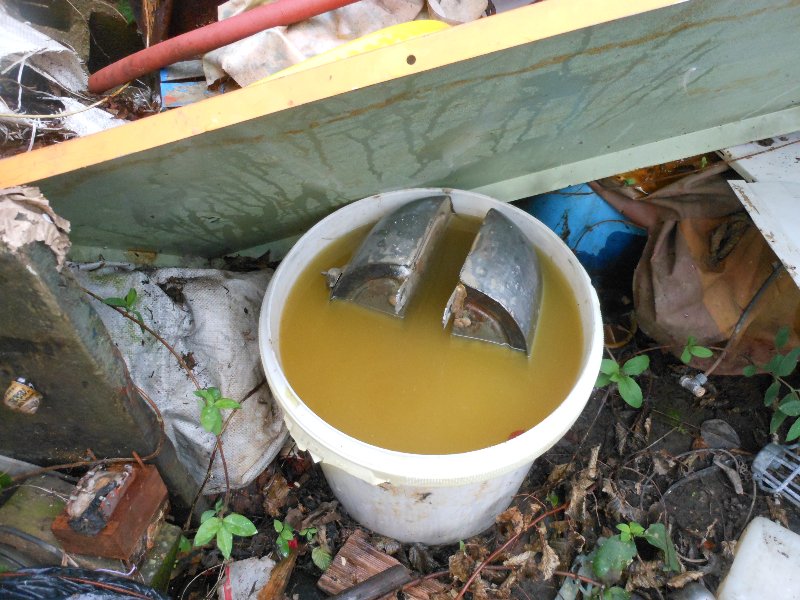 DSCN3636.JPG