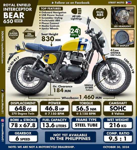 Int Bear caracteristiques.jpg