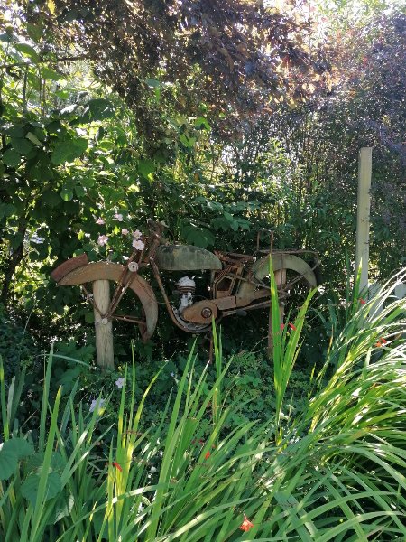 moto dans le bosquet !.jpg