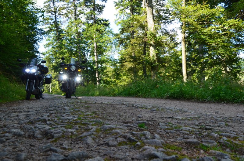 PPM 24 - 49r.jpg