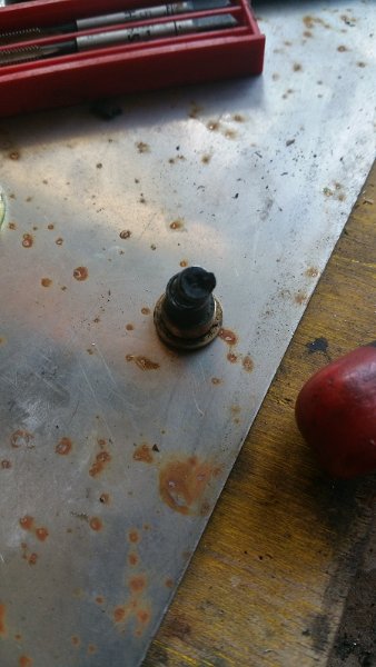 20240625_155931.jpg