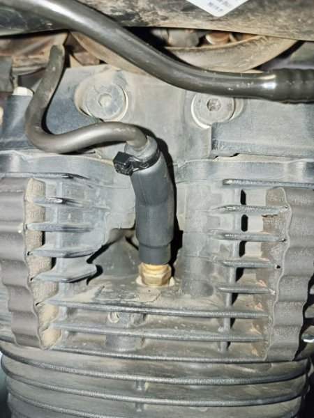 l'antiparasite monté avec son collier.jpg