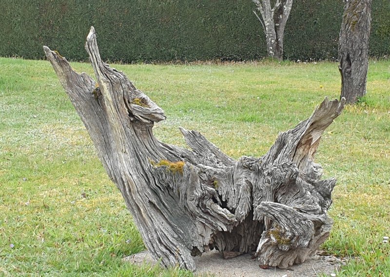 Relax dans le jardin.jpg