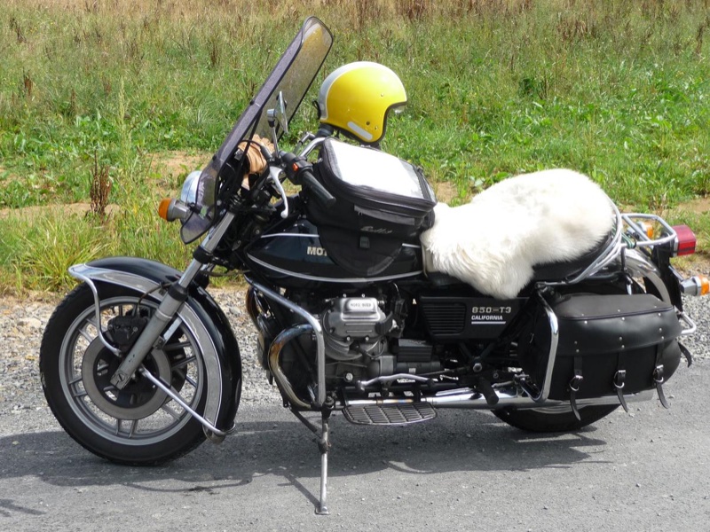 Calif-T3 peau de mouton.JPG