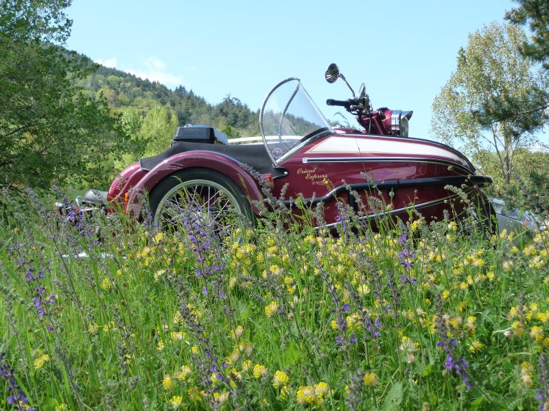 Orient Express pour Vanosc.JPG