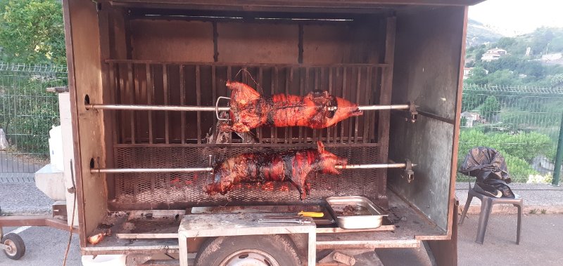 Resized_20250530_200044.jpeg
