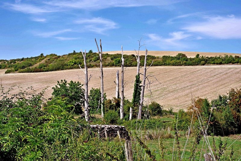 25 août 2025 Annoux Tour de Chappe (57) pt2.jpg