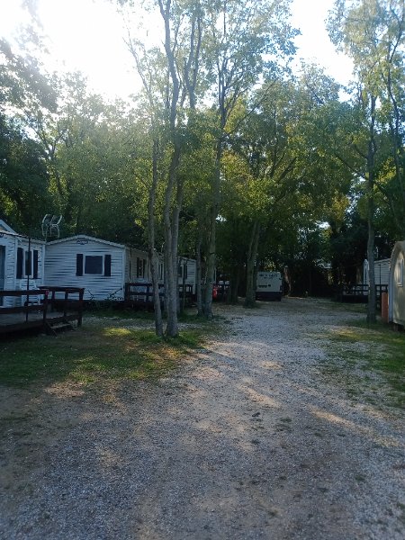 IMG_20250929_104638416.jpg