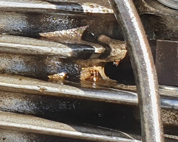 zoom sur défaut culasse.jpg