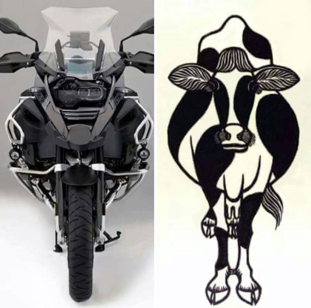 bmw-vache.jpg