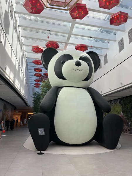 2025 11 23a - JoceMidée.jpg