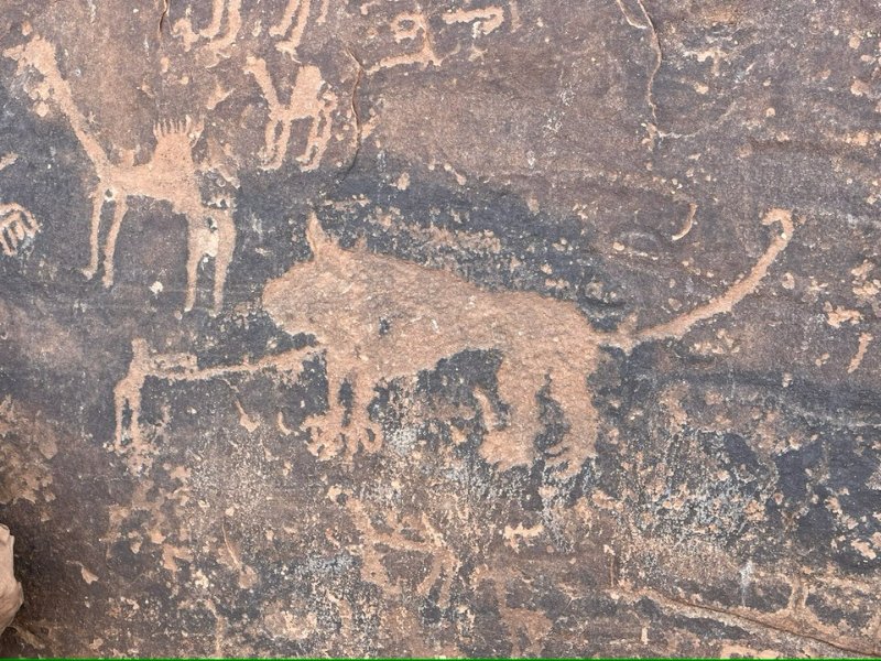 2025 12 07f - JoceMidée.jpg