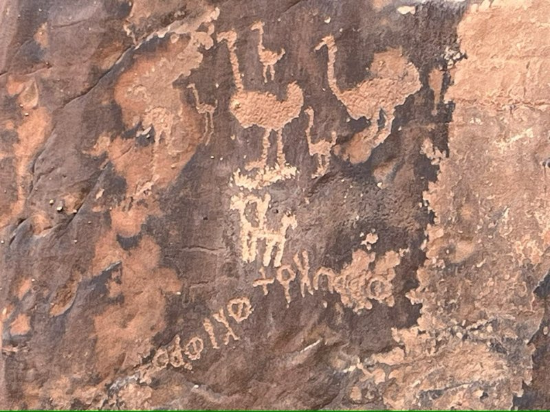 2025 12 07h - JoceMidée.jpg