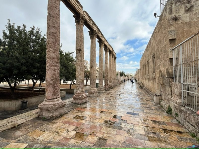 2025 12 10b - JoceMidée.jpg