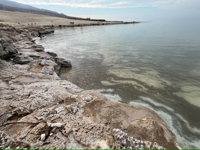 2025 12 13a - JoceMidée.jpg