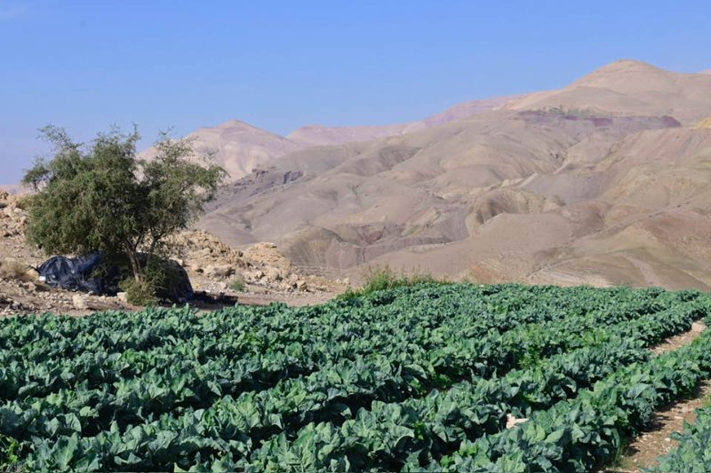 2025 12 14d - JoceMidée.jpg