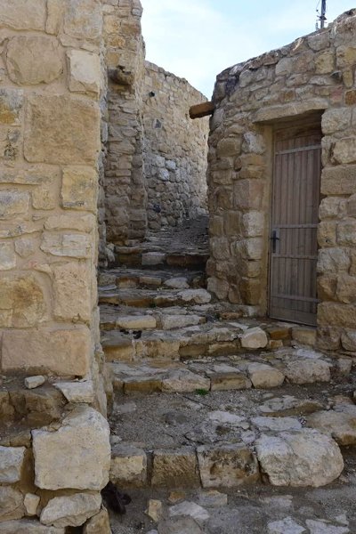 2025 12 14i - JoceMidée.jpg