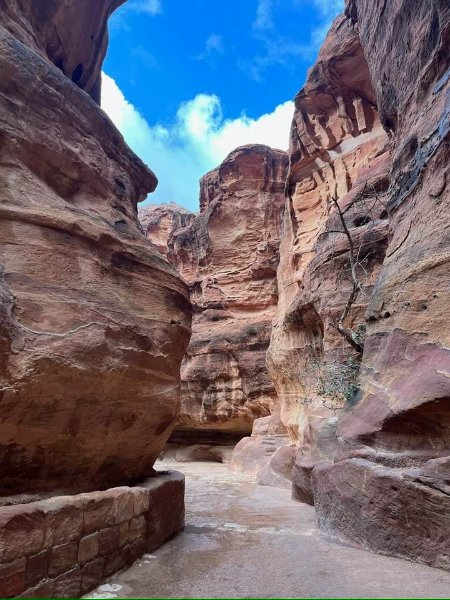 2025 12 16b - JoceMidée.jpg