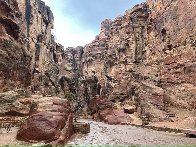 2025 12 16g - JoceMidée.jpg