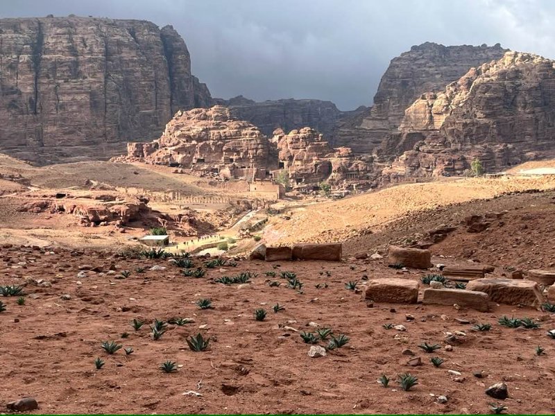 2025 12 16p - JoceMidée.jpg