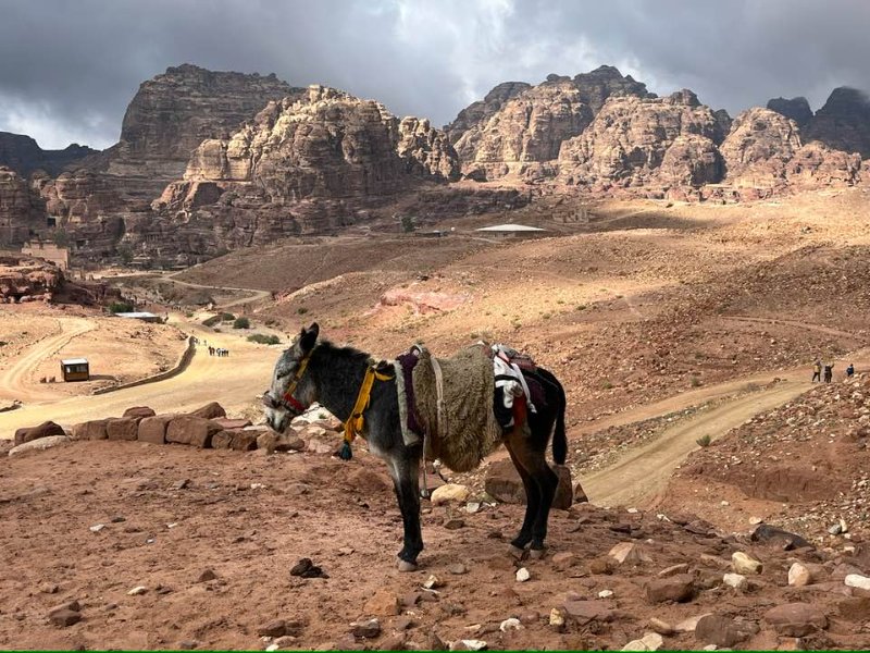 2025 12 16r - JoceMidée.jpg