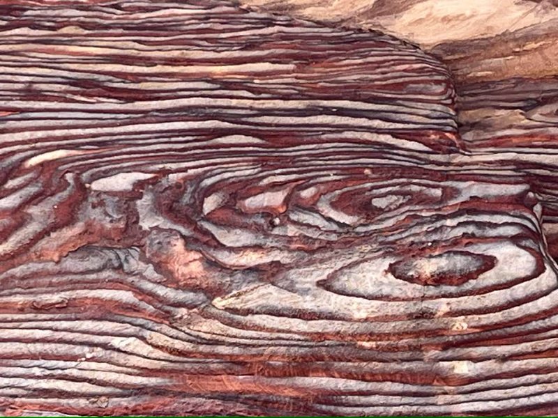 2025 12 16y - JoceMidée.jpg