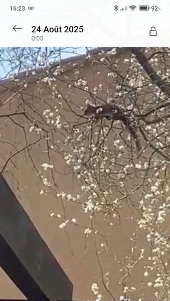 WhatsApp Image 2026-01-08 at 16.25.03.jpeg