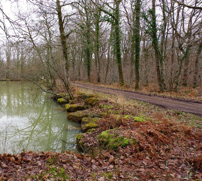 17 01 26 Etang (4).jpg