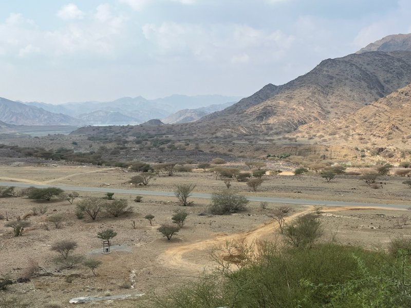 2026 01 15b - JoceMidée.jpg