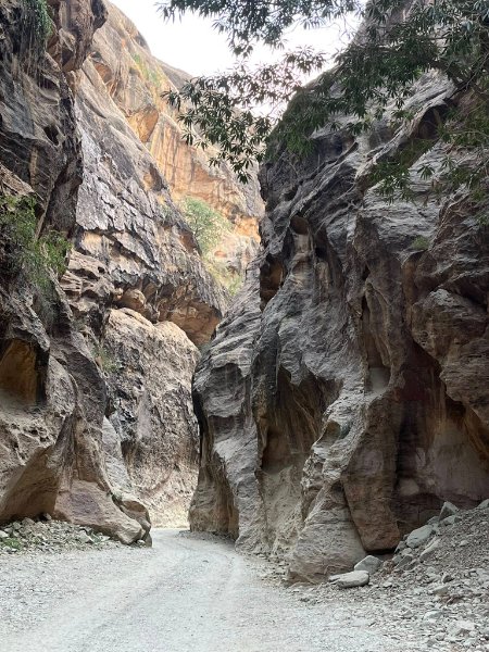 2026 01 15k - JoceMidée.jpg