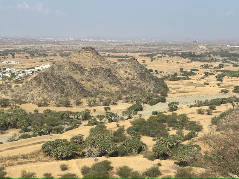 2026 01 16ea - JoceMidée.jpg