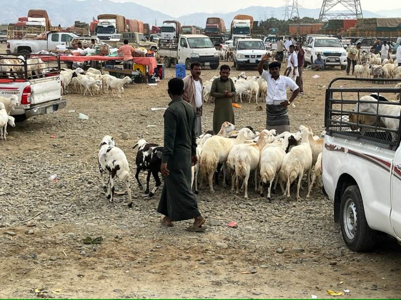 2026 01 16ka - JoceMidée.jpg