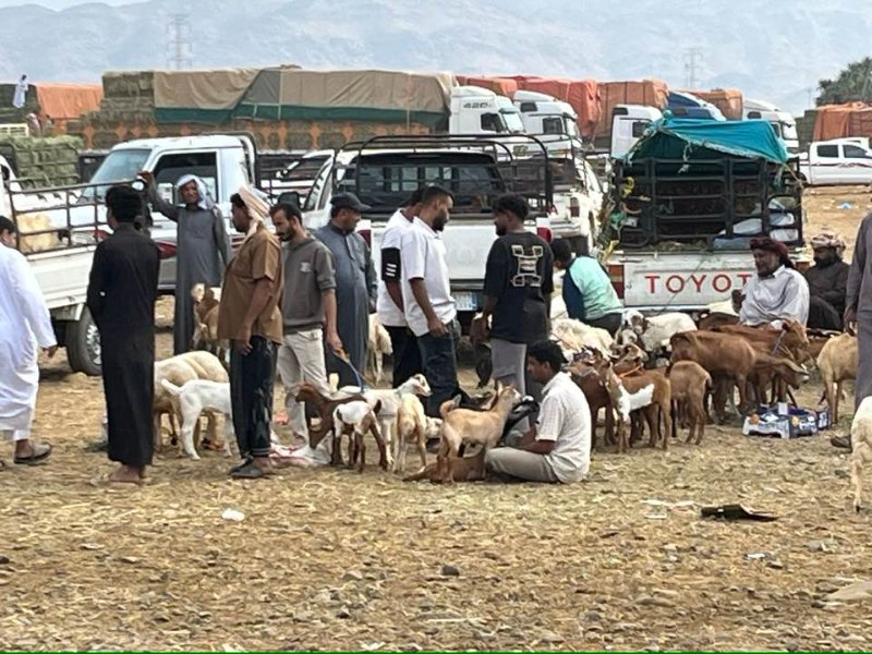 2026 01 16kb - JoceMidée.jpg