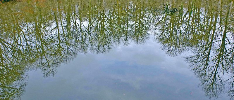 17 01 26 Etang (7).jpg