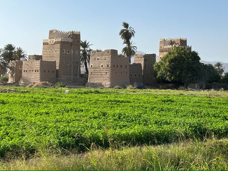 2026 01 18i - JoceMidée.jpg